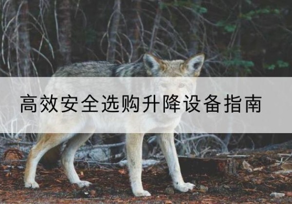 进贤升降货梯厂家推荐-*安全选购升降设备指南