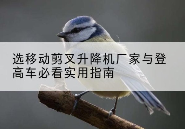 进贤电动升降机厂家-选移动剪叉升降机厂家与登高车必看实用指南